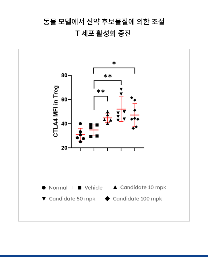 동물 모델에서 신약 후보물질에 의한 조절 T 세포 활성화 증진 
