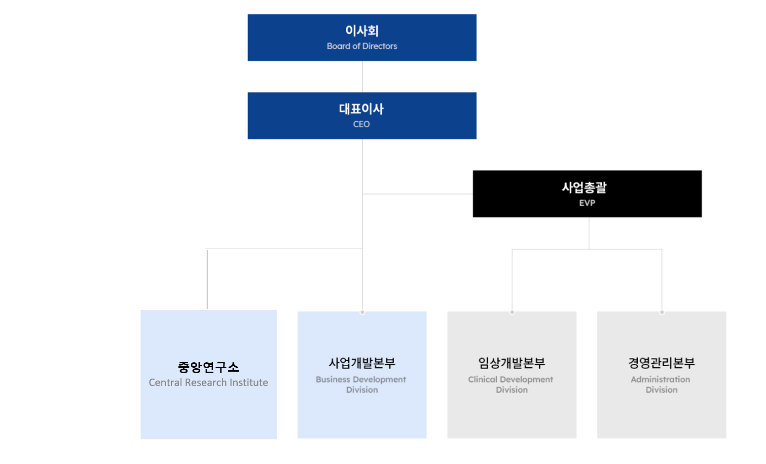 Organizational Structure